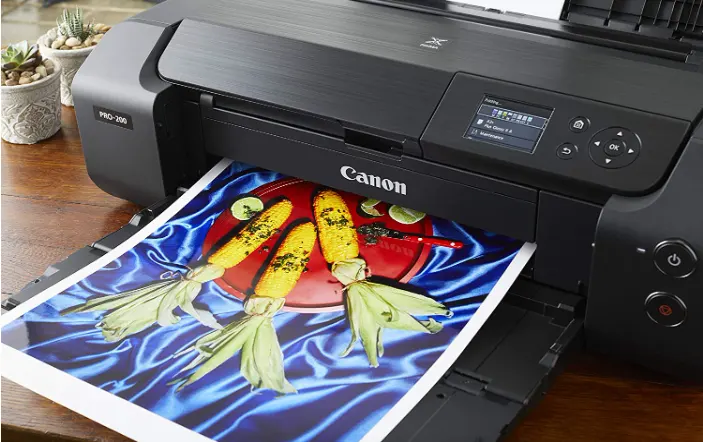 Canon PIXMA PRO 200- Canvas printer 